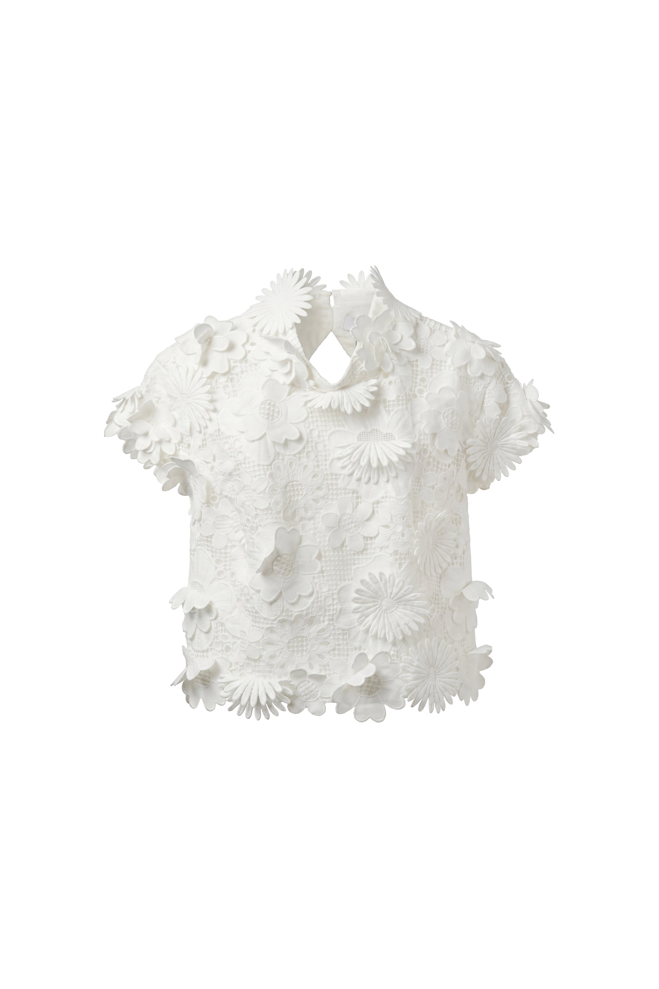 Fiorella Jardin Lace Top