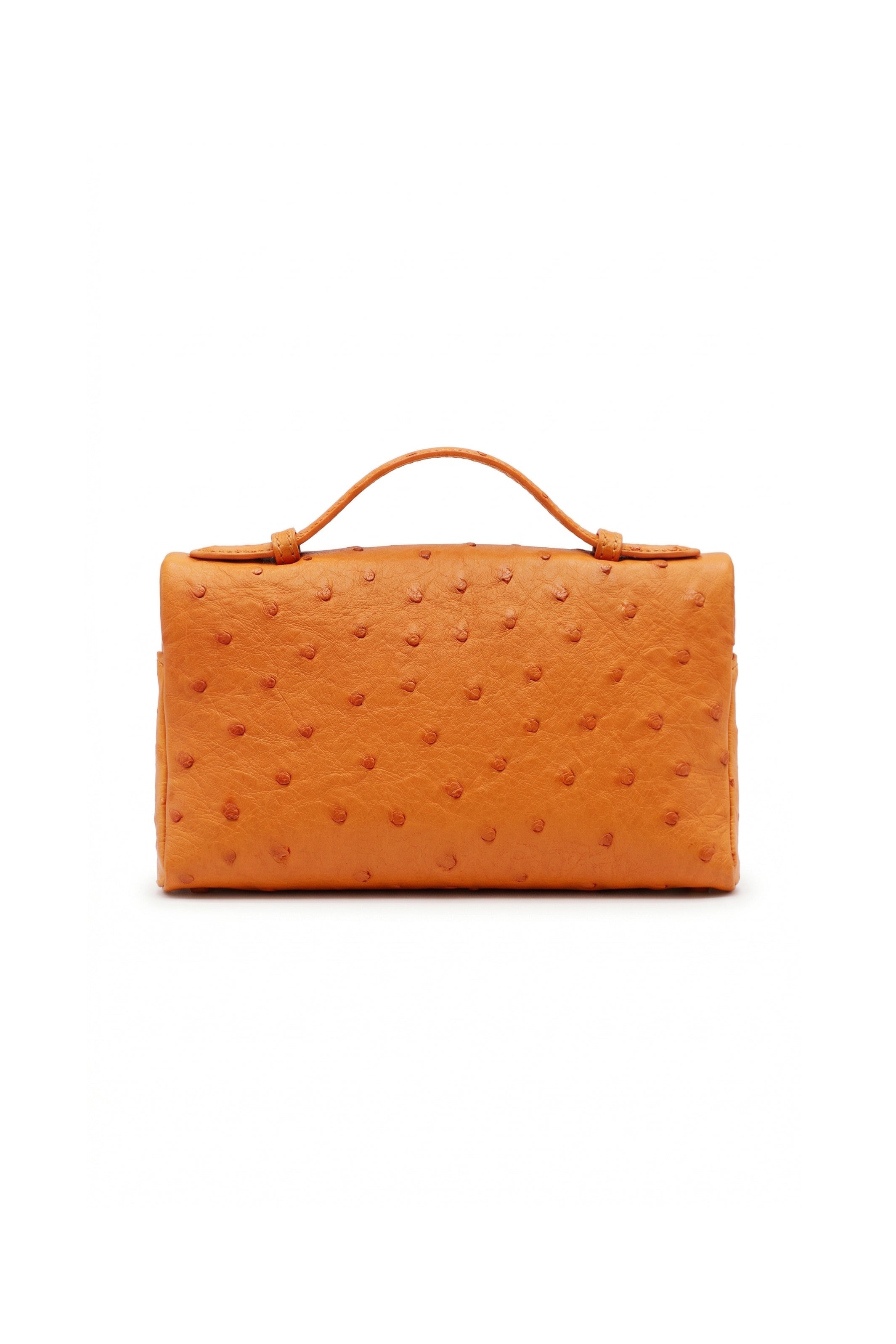 Ambra Chiara Vanity Bag