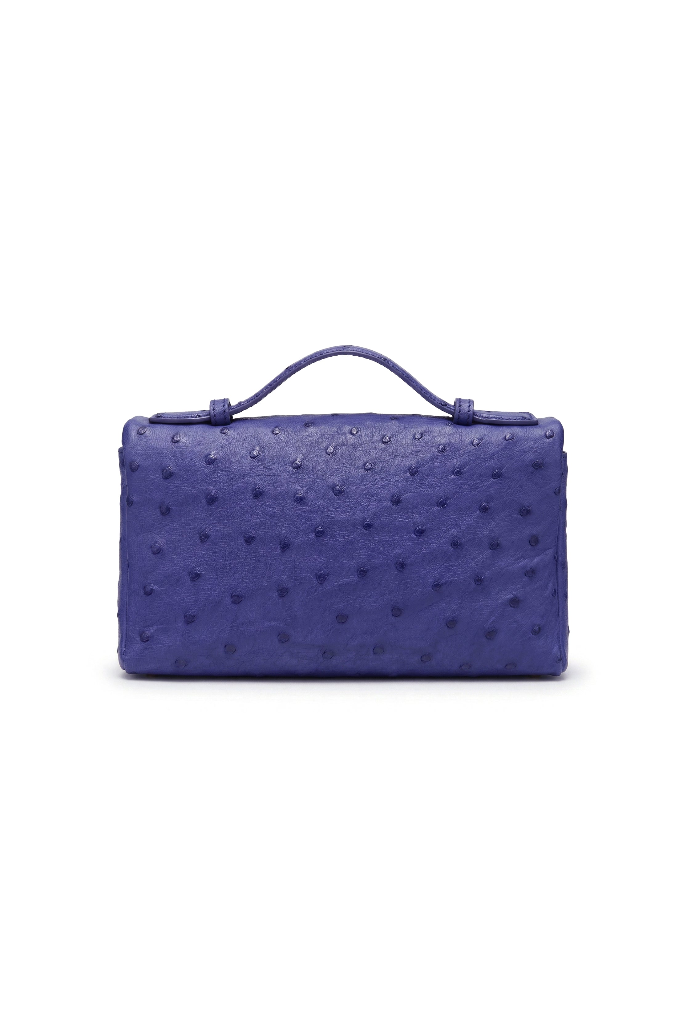 Cobalto Vivo Vanity Bag