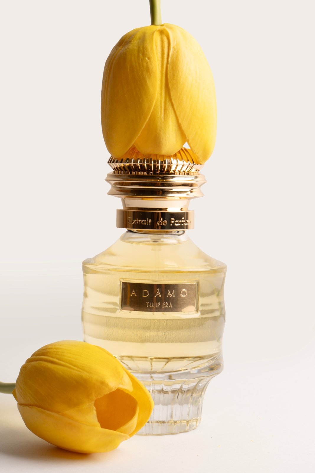 ADÂMO Tulip Era Extrait de Parfum - ADAMO