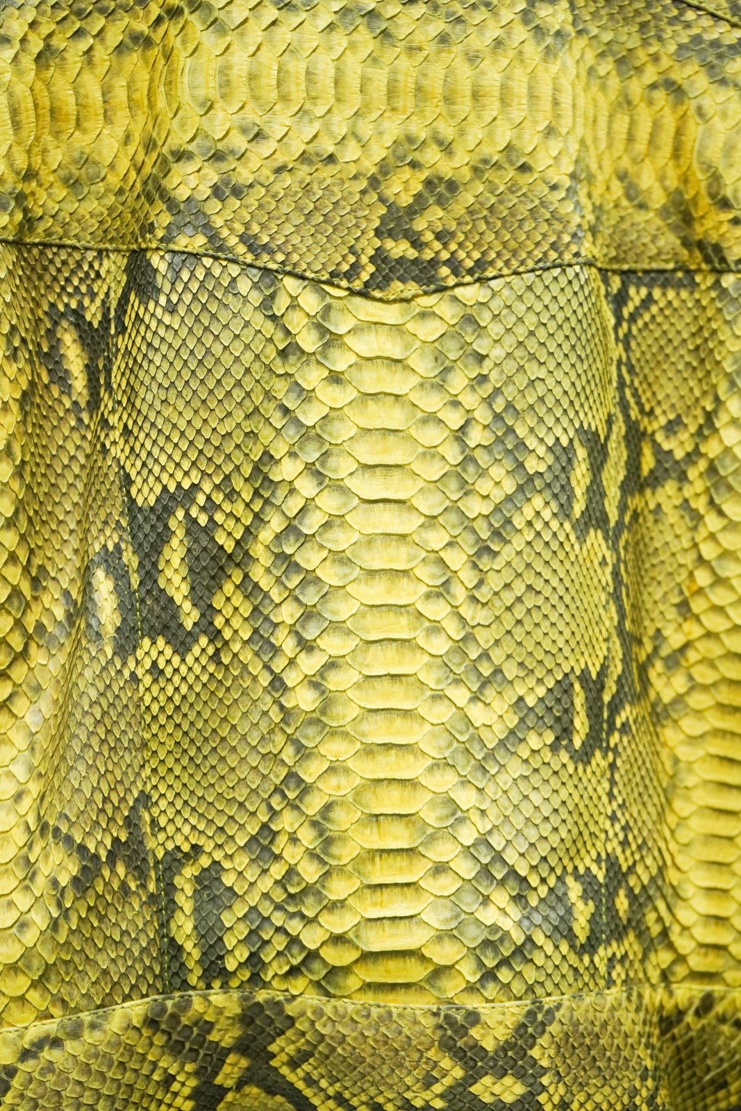 Solaris Yellow Python Leather Jacket - ADAMO