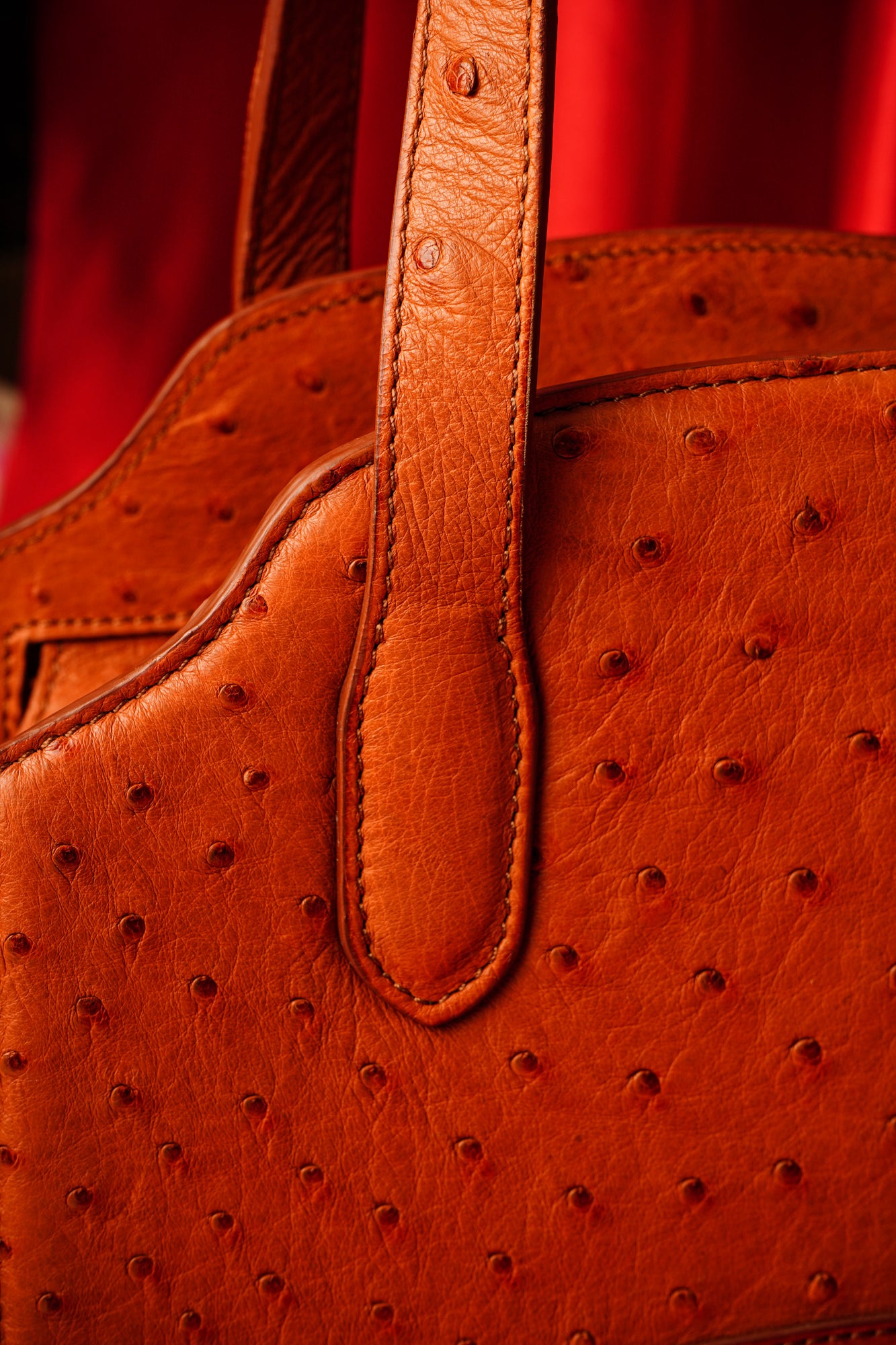 Orange GENUINE BODY OSTRICH Leather Skin Cardholder Leather 